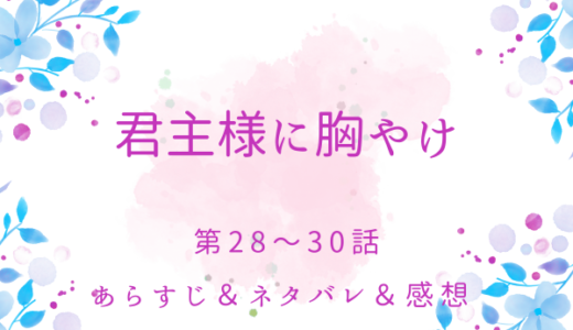 「君主様に胸やけ」28〜30話